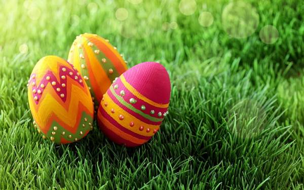 holiday-easter-colors-easter-egg-grass-hd-wallpaper-preview